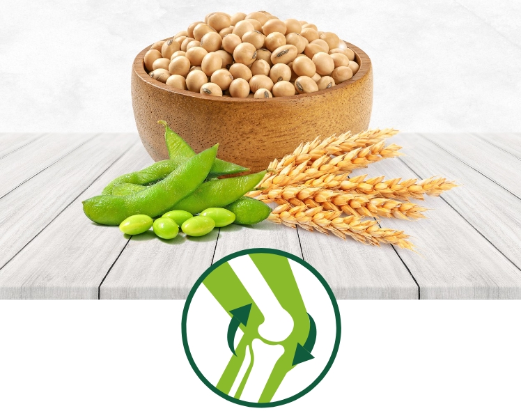 Tri-Blend Plant Protein (Soy, Pea & Wheat Protein)